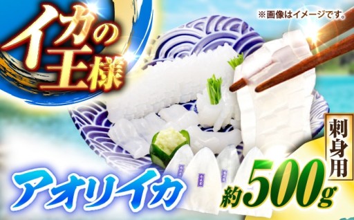 ＼コリコリ肉厚／一本釣りの極上アオリイカ500g