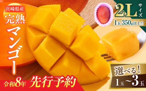 太陽が育てた、宮崎のご褒美。完熟マンゴー解禁🥭