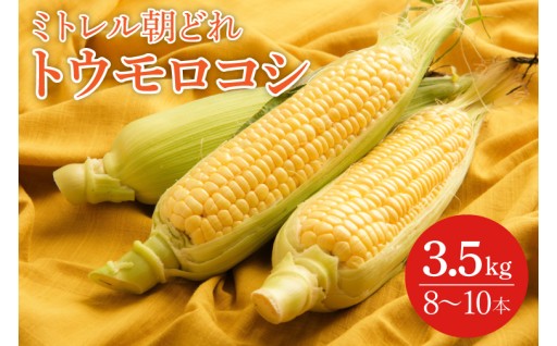 【本田農園】ミトレル朝どれトウモロコシ