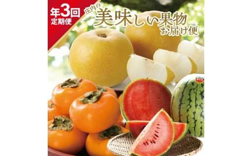 老舗八百屋が贈る🍉3種のフルーツ定期便