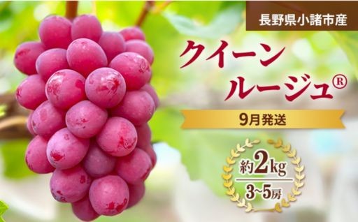 赤いぶどうの宝石『クイーンルージュ』絶賛、先行予約受付中♪