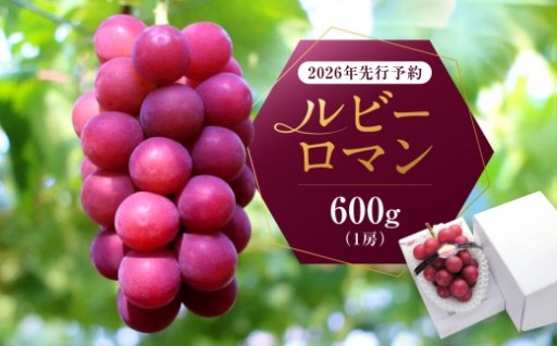 ルビーロマン 600g 葡萄