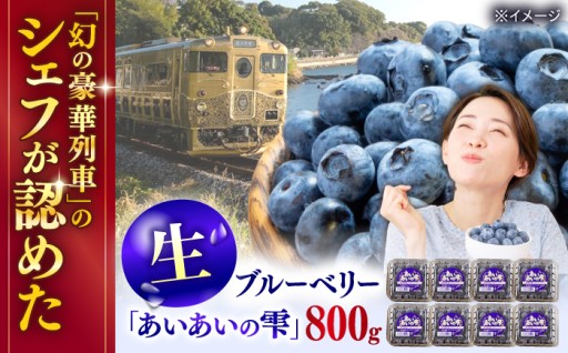 【残り15件限定！】朝摘み生ブルーベリー数量限定受付！