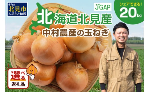 実は、玉ねぎ生産量日本一🧅