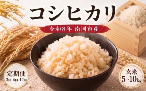 令和8年度 南国市産 コシヒカリ 玄米