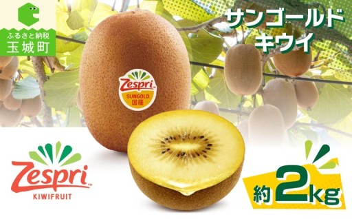【先行予約】ゼスプリ サンゴールドキウイ 約2kg