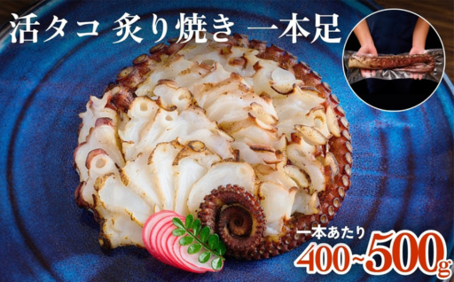 活タコ 炙り焼き 一本足 冷凍 たこ刺し