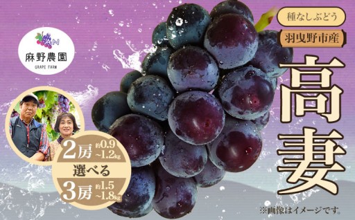 羽曳野市・麻野農園がお届け！大粒で濃厚な甘みの希少黒ぶどう「高妻」のご紹介です。