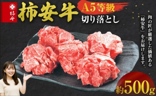 【指定日必須】柿安本店　三重　柿安牛　切り落とし 約500g