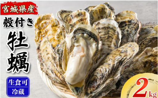 松島牡蠣屋 殻付き牡蠣（生食用） 2kg 生牡蠣