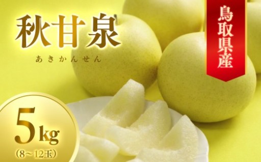 数量限定 鳥取県産梨 秋甘泉（あきかんせん） 5kg（8～12玉）