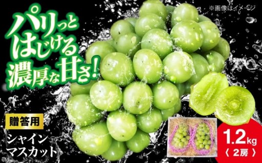 パリッと弾ける濃厚な甘さ！シャインマスカット