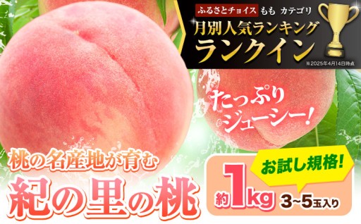 【待望の出荷スタート！】人気ランキング入賞の人気フルーツ！「紀の里の桃」約1kg（3〜5玉）のご紹介です。