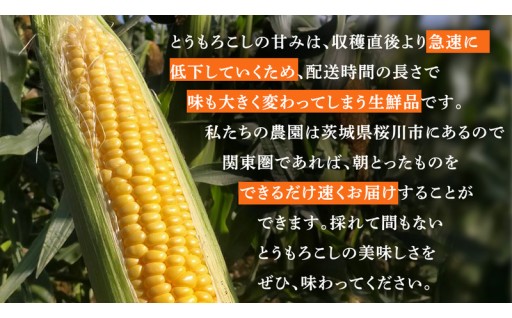 今季受付は ＜ 7月10日 ＞で終了！🌽