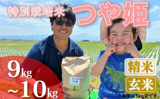 特別栽培米つや姫9kg～10kg※精米or玄米