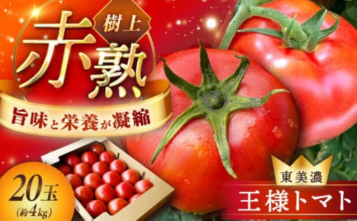 【樹で完熟！】60年の産地が育む王様トマト4kg