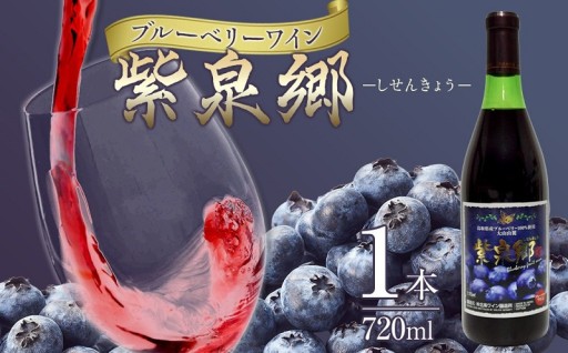 酒 ワイン ブルーベリーワイン 紫泉郷（しせんきょう） 1本 （ 720ml ）