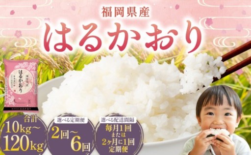【選べる定期便】 はるかおり 計10～120kg