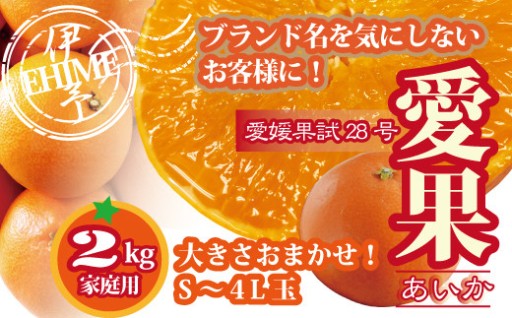 先行予約受付中🍊訳あり 愛果28号 約2kg ご家庭用