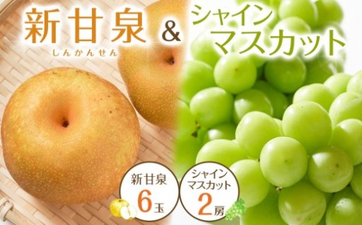 【先行予約】新甘泉6玉とシャインマスカット2房 ※8月下旬～9月中旬頃に順次発送予定
