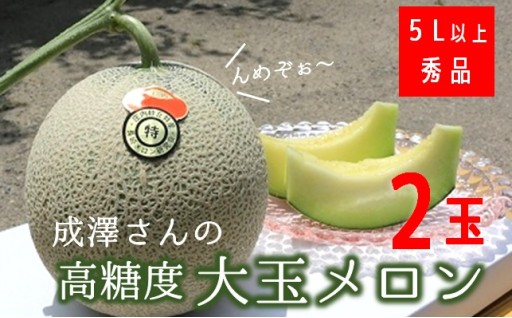 成澤さんの厳選！【2玉入】高糖度大玉メロン