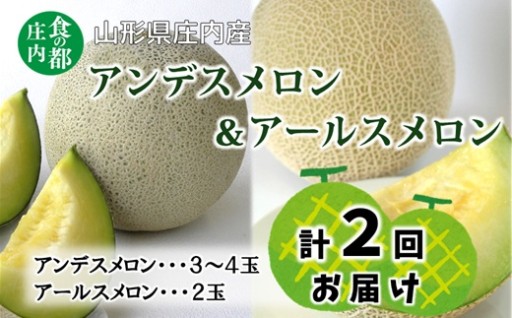 ジューシー！メロン2回定期便