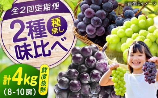 2種の沼隈ぶどうを旬の時期に届けます