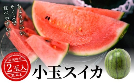 【本日まで】小玉スイカ 3Lサイズ以上 2玉入り