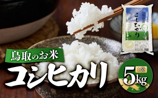 鳥取のお米 コシヒカリ 5kg 精米