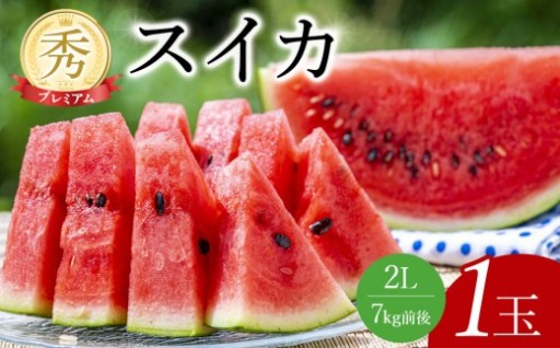 【先行予約】プレミアムスイカ 1玉 ※5月下旬～8月中旬頃に順次発送予定