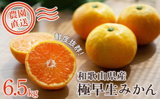 【極早生みかん】みかん 6.5kg 家庭用 大小混合サイズ
