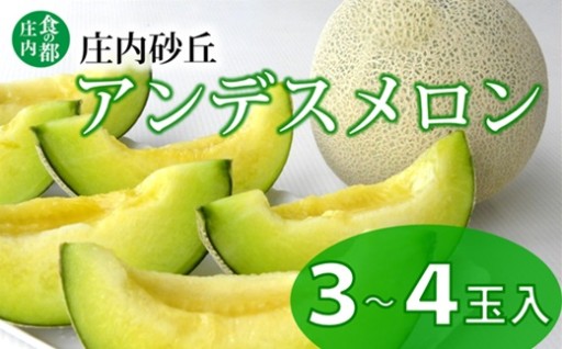 庄内砂丘アンデスメロン