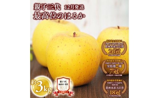 ≪12月発送≫ 親子三代最高位のはるか 約3kg