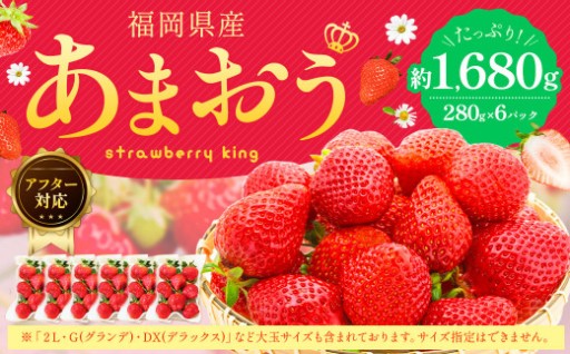 《先行予約》【アフター対応】あまおう 約280g×6パック 