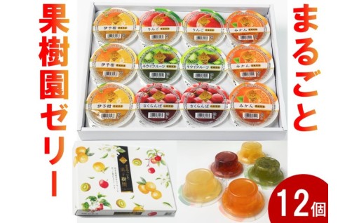 お中元や夏ギフトに🍊🥝まるごと果樹園ゼリー詰合せ12個入🍎🍒