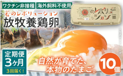 【選んであとは待つだけ🥚】卵 定期便 3回 放牧養鶏卵 10個 「破損補償2個含」