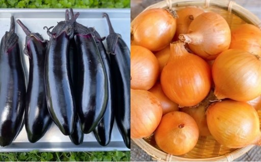 栽培期間中 農薬・化成肥料不使用！黒茄子と玉ねぎセット