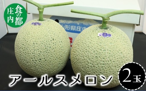 庄内砂丘のアールスメロン2玉