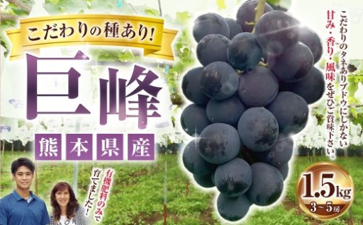 巨峰 約1.5kg（3～5房）