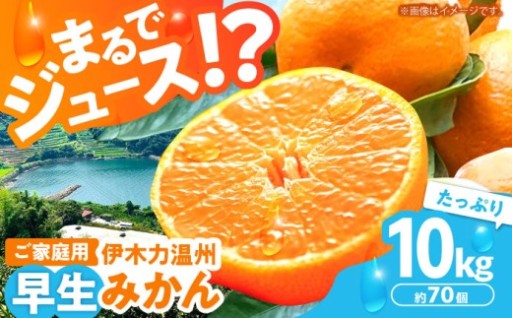 ※【2026年11月より順次発送／先行予約】伊木力温州早生みかん5kg(ご家庭用、箱入り) 