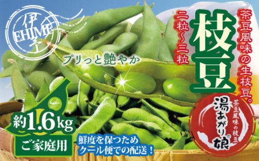 訳あり 枝豆 湯あがり娘 約1.6kg