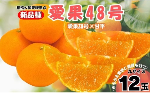 オリジナル新品種！🍊愛果48号　2Lサイズ　12玉🍊贈答用✨