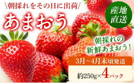 【予約受付開始🔔】あまおう 産地直送 約250g×4パック🍓