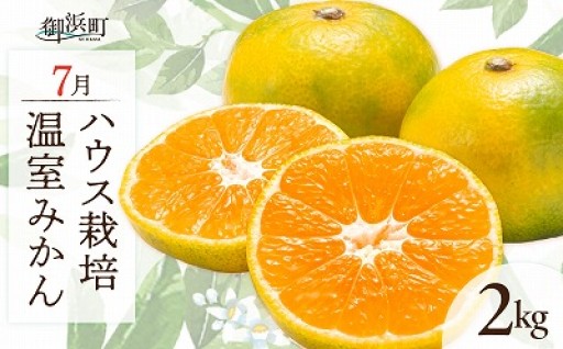  ＼お中元 のし対応／【🌊夏だけの至福🧡】7月の御浜柑橘 温室みかん 2キロ🍊