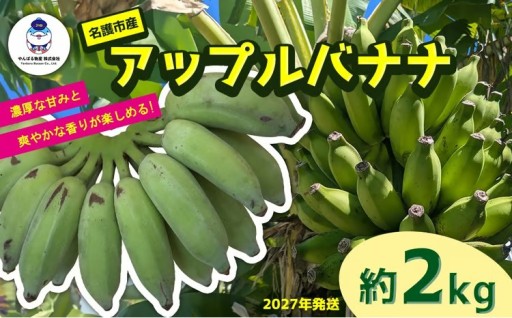 道の駅「許田」が厳選した南国フルーツ アップルバナナ 約2kg 2027年発送