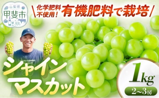 化学肥料不使用で育ったシャインマスカット1kg