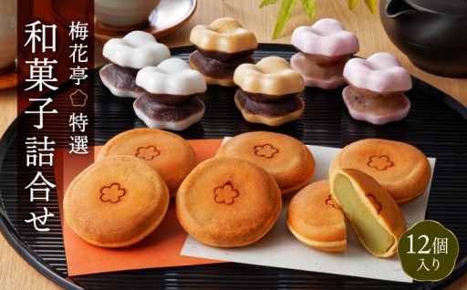 見た目も可愛らしい🌸特選和菓子詰合せで優雅なひとときをどうぞ