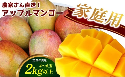 【2026年発送】農家さん直送！アップルマンゴー2kg以上