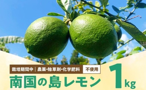 【先行受付】栽培期間中 農薬・除草剤・化学肥料不使用！南国の島レモン 1kg！🍋🍋