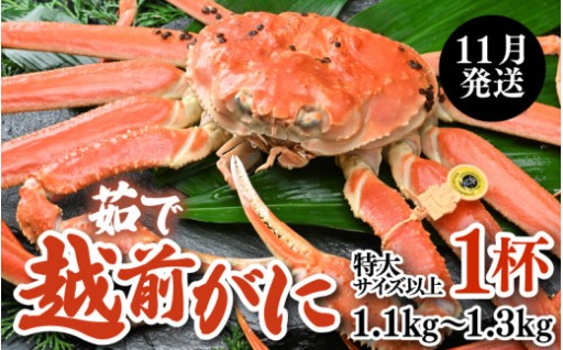 【先行予約】ブランド越前がに🦀ボイル済でお手軽	